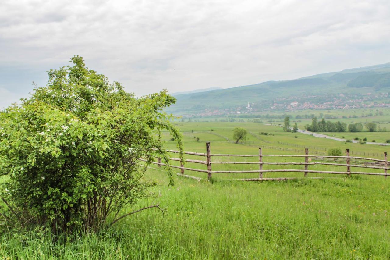 Manó Kulcsosházak Praid Exterior foto